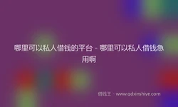 哪里可以私人借钱的平台 - 哪里可以私人借钱急用啊
