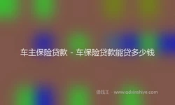 车主保险贷款 - 车保险贷款能贷多少钱