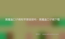 黑魔盒口子阁有苹果链接吗 - 黑魔盒口子阁下载