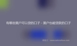 有哪些黑户可以贷的口子 - 黑户也能贷款的口子