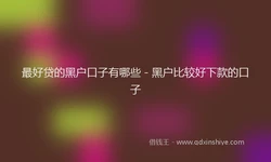 最好贷的黑户口子有哪些 - 黑户比较好下款的口子