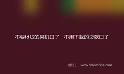 不要id贷的果机口子 - 不用下载的贷款口子
