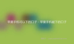 苹果手机可以下的口子 - 苹果手机能下的口子
