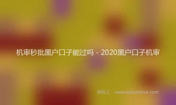 机审秒批黑户口子能过吗 - 2020黑户口子机审
