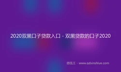 2020双黑口子贷款入口 - 双黑贷款的口子2020