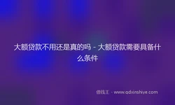 大额贷款不用还是真的吗 - 大额贷款需要具备什么条件