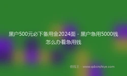 黑户500元必下备用金2024面 - 黑户急用5000钱怎么办着急用钱