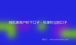 纯机审黑户秒下口子 - 机审秒过的口子