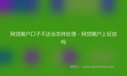 网贷黑户口子不还会怎样处理 - 网贷黑户上征信吗