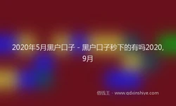 2020年5月黑户口子 - 黑户口子秒下的有吗2020,9月