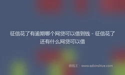 征信花了有逾期哪个网贷可以借到钱 - 征信花了还有什么网贷可以借
