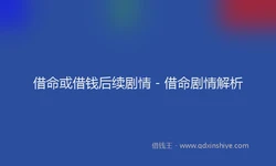 借命或借钱后续剧情 - 借命剧情解析
