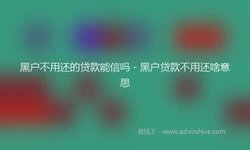 黑户不用还的贷款能信吗 - 黑户贷款不用还啥意思
