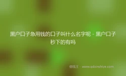 黑户口子急用钱的口子叫什么名字呢 - 黑户口子秒下的有吗