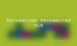 苹果手机高炮口子链接 - 苹果手机高炮口子链接怎么用