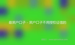 最黑户口子 - 黑户口子不用授权征信的