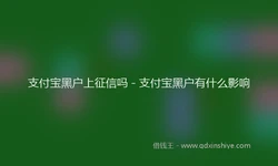 支付宝黑户上征信吗 - 支付宝黑户有什么影响