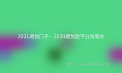 2021黑贷口子 - 2020黑贷款平台有哪些