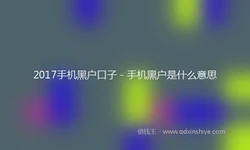 2017手机黑户口子 - 手机黑户是什么意思