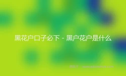 黑花户口子必下 - 黑户花户是什么