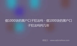 借1000块的黑户口子犯法吗 - 借1000块的黑户口子犯法吗判几年