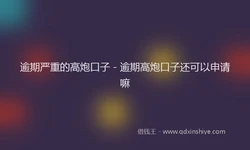 逾期严重的高炮口子 - 逾期高炮口子还可以申请嘛