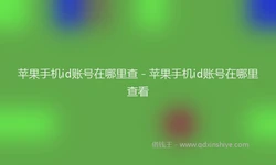 苹果手机id账号在哪里查 - 苹果手机id账号在哪里查看