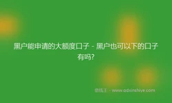 黑户能申请的大额度口子 - 黑户也可以下的口子有吗?