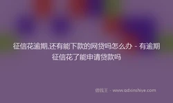 征信花逾期,还有能下款的网贷吗怎么办 - 有逾期征信花了能申请贷款吗