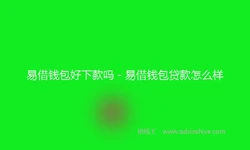 易借钱包好下款吗 - 易借钱包贷款怎么样