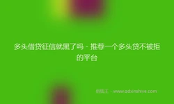 多头借贷征信就黑了吗 - 推荐一个多头贷不被拒的平台