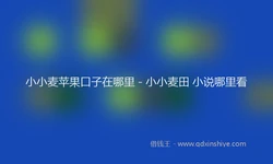 小小麦苹果口子在哪里 - 小小麦田 小说哪里看