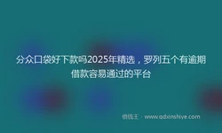 分众口袋好下款吗2025年精选，罗列五个有逾期借款容易通过的平台