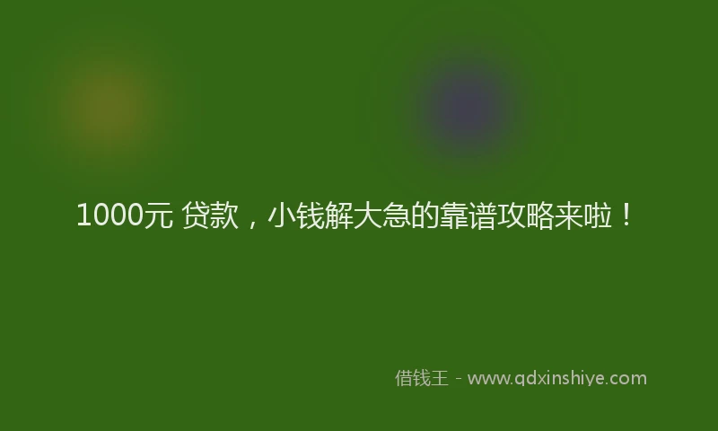 1000元 贷款，小钱解大急的靠谱攻略来啦！