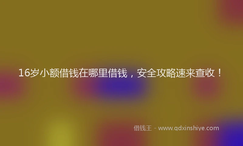 16岁小额借钱在哪里借钱，安全攻略速来查收！