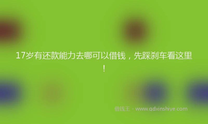 17岁有还款能力去哪可以借钱，先踩刹车看这里！