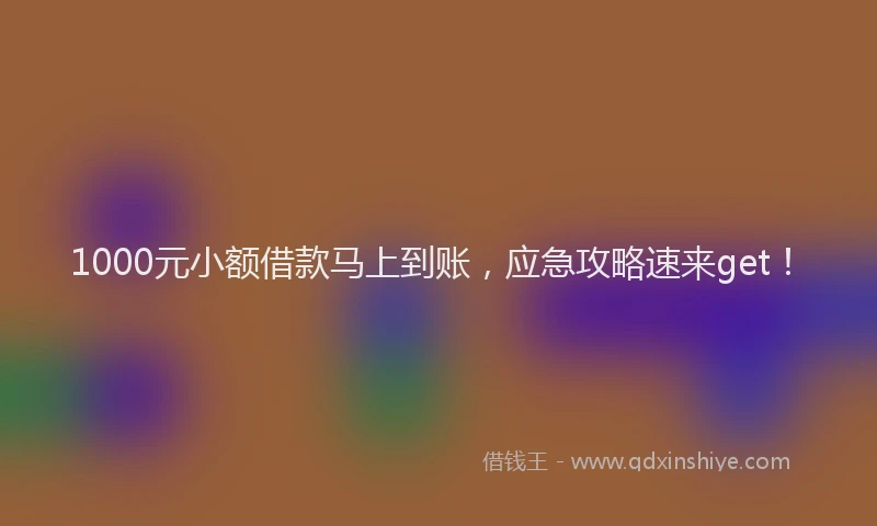 1000元小额借款马上到账，应急攻略速来get！