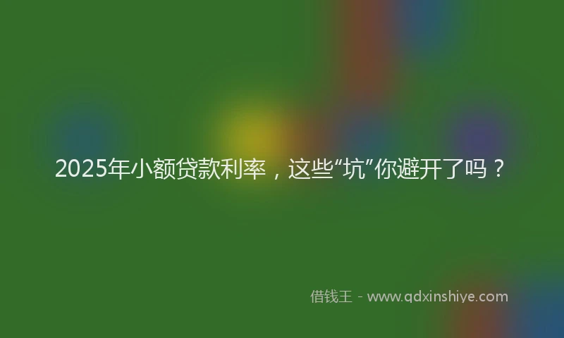 2025年小额贷款利率，这些“坑”你避开了吗？