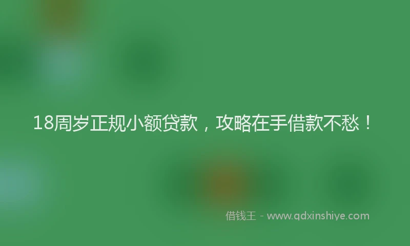 18周岁正规小额贷款，攻略在手借款不愁！
