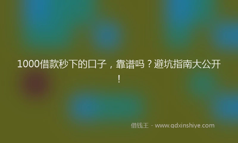1000借款秒下的口子，靠谱吗？避坑指南大公开！