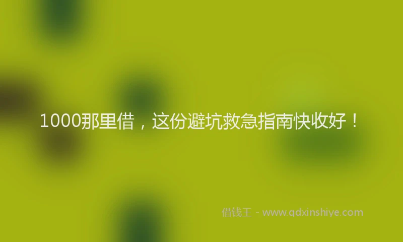 1000那里借，这份避坑救急指南快收好！