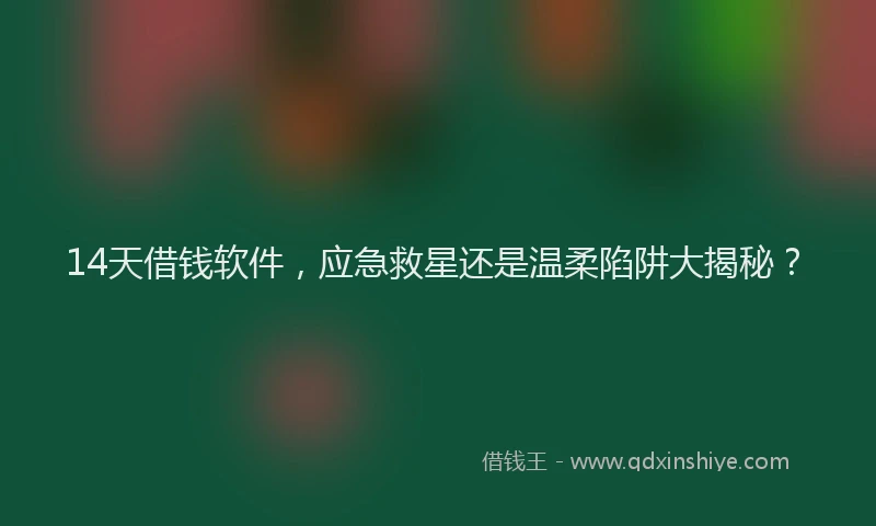 14天借钱软件,应急救星还是温柔陷阱大揭秘?