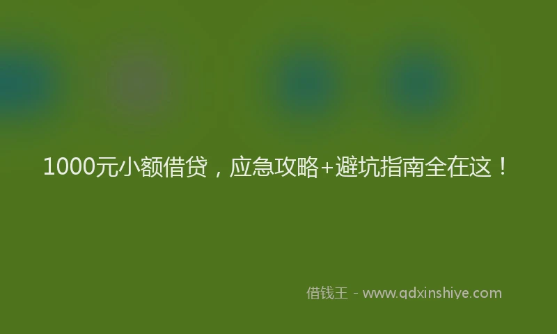1000元小额借贷，应急攻略+避坑指南全在这！