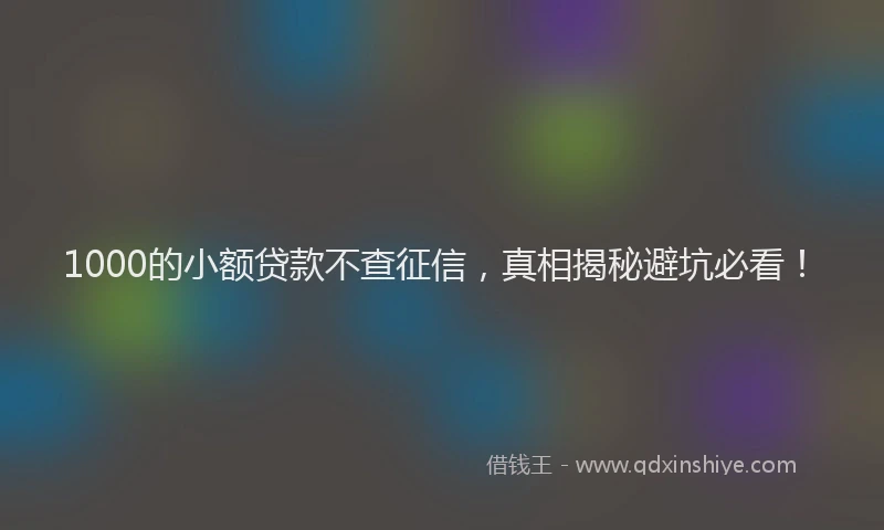 1000的小额贷款不查征信，真相揭秘避坑必看！