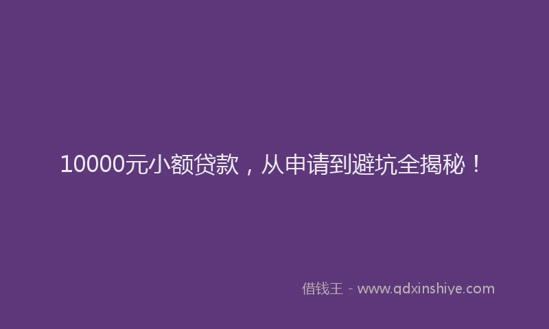 10000元小额贷款，从申请到避坑全揭秘！