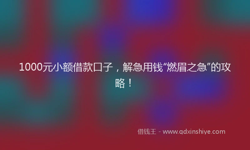 1000元小额借款口子，解急用钱“燃眉之急”的攻略！