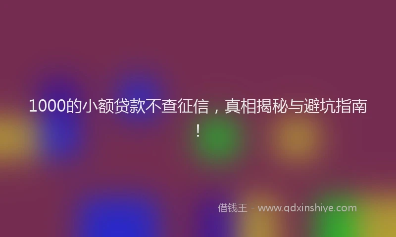1000的小额贷款不查征信，真相揭秘与避坑指南！