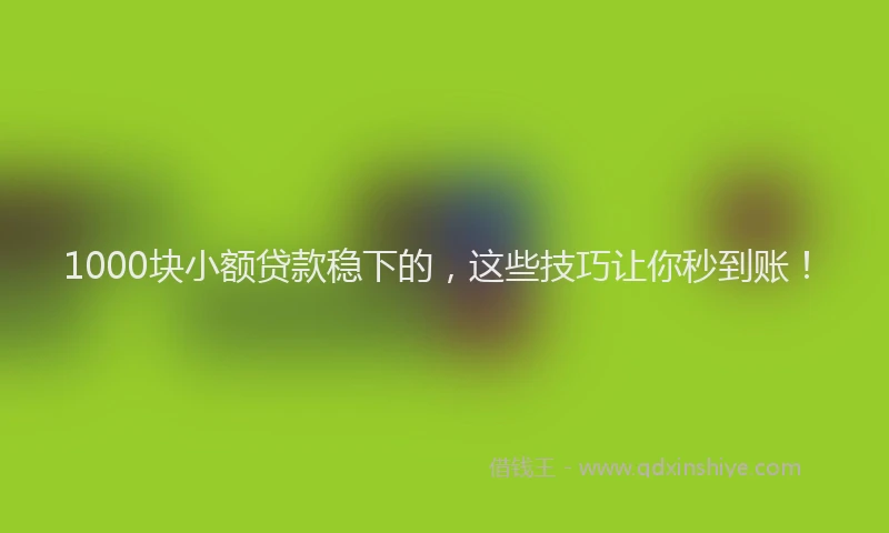1000块小额贷款稳下的，这些技巧让你秒到账！