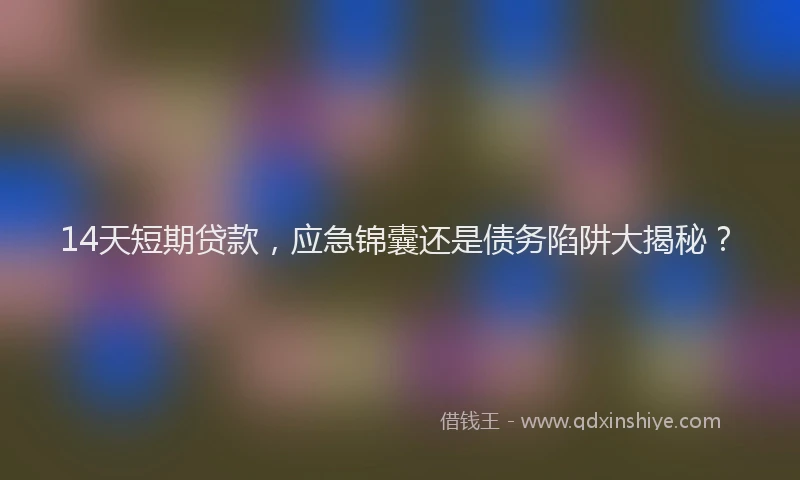 14天短期贷款，应急锦囊还是债务陷阱大揭秘？