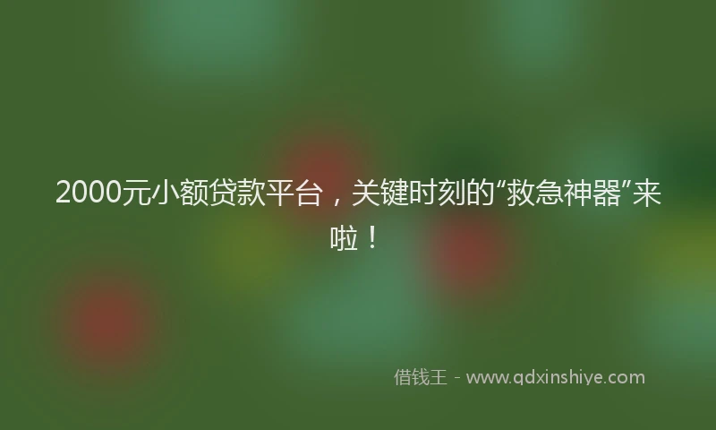 2000元小额贷款平台，关键时刻的“救急神器”来啦！